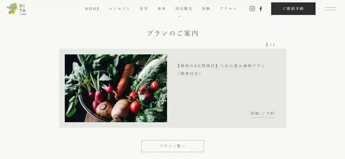 No.004 RITA-八女福島　ノアールの雷カギしっぽ | Webサイト100線