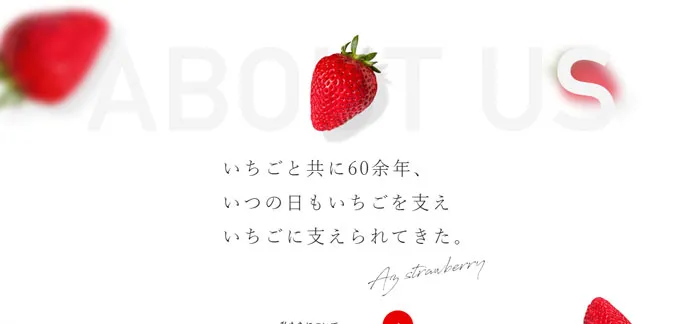 No.016 AZ-STRAW-BERRY　ノアールの雷カギしっぽ | Webサイト100線