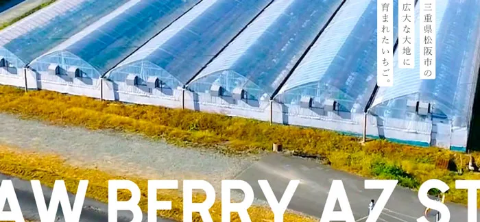 No.016 AZ-STRAW-BERRY　ノアールの雷カギしっぽ | Webサイト100線