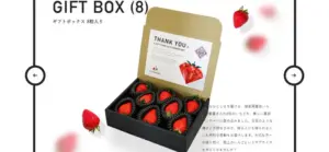 No.016 AZ-STRAW-BERRY ノアールの雷カギしっぽ | Webサイト100線