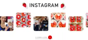 No.016 AZ-STRAW-BERRY ノアールの雷カギしっぽ | Webサイト100線