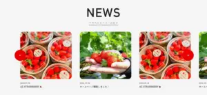 No.016 AZ-STRAW-BERRY ノアールの雷カギしっぽ | Webサイト100線