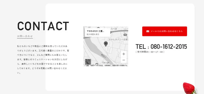 No.016 AZ-STRAW-BERRY　ノアールの雷カギしっぽ | Webサイト100線