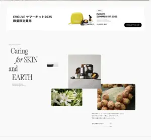 No.029 EVOLVE（エボルブ）　ノアールの雷カギしっぽ | Webサイト100線