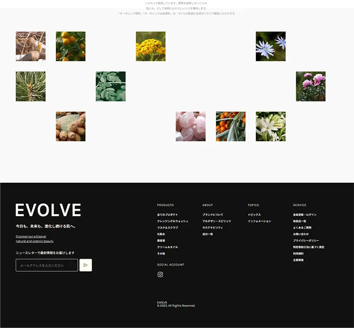 No.029 EVOLVE（エボルブ）　ノアールの雷カギしっぽ | Webサイト100線