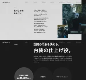 No.027 NINE-C ノアールの雷カギしっぽ | Webサイト100線