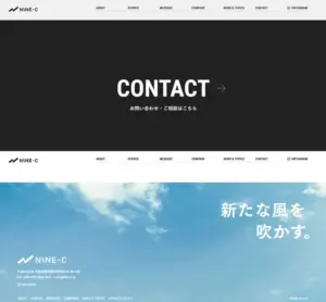 No.027 NINE-C　ノアールの雷カギしっぽ | Webサイト100線