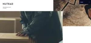 No.007 NUTRAD　ノアールの雷カギしっぽ | Webサイト100線