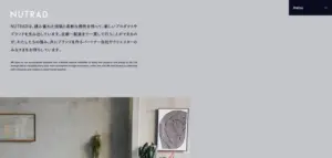 No.007 NUTRAD　ノアールの雷カギしっぽ | Webサイト100線