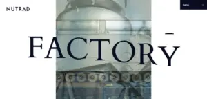 No.007 NUTRAD　ノアールの雷カギしっぽ | Webサイト100線