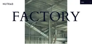 No.007 NUTRAD　ノアールの雷カギしっぽ | Webサイト100線