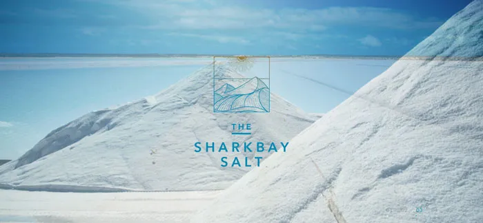 No.010 THE SHARKBAY SALT　ノアールの雷カギしっぽ | Webサイト100線