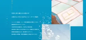 No.010 THE SHARKBAY SALT　ノアールの雷カギしっぽ | Webサイト100線