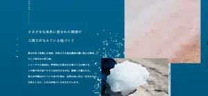 No.010 THE SHARKBAY SALT　ノアールの雷カギしっぽ | Webサイト100線