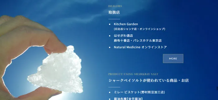 No.010 THE SHARKBAY SALT　ノアールの雷カギしっぽ | Webサイト100線