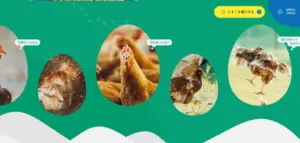 No.013 はばたき農場　ノアールの雷カギしっぽ | Webサイト100線