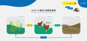 No.013 はばたき農場　ノアールの雷カギしっぽ | Webサイト100線