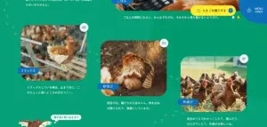 No.013 はばたき農場　ノアールの雷カギしっぽ | Webサイト100線