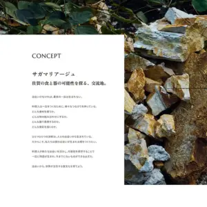 No.032 サガマリアージュ　ノアールの雷カギしっぽ | Webサイト100線