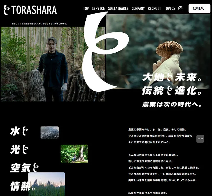 No.030 トラしゃら ノアールの雷カギしっぽ | Webサイト100線