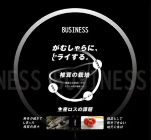 No.030 トラしゃら ノアールの雷カギしっぽ | Webサイト100線