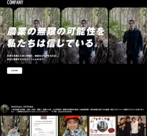 No.030 トラしゃら ノアールの雷カギしっぽ | Webサイト100線