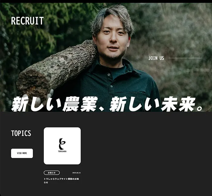 No.030 トラしゃら ノアールの雷カギしっぽ | Webサイト100線