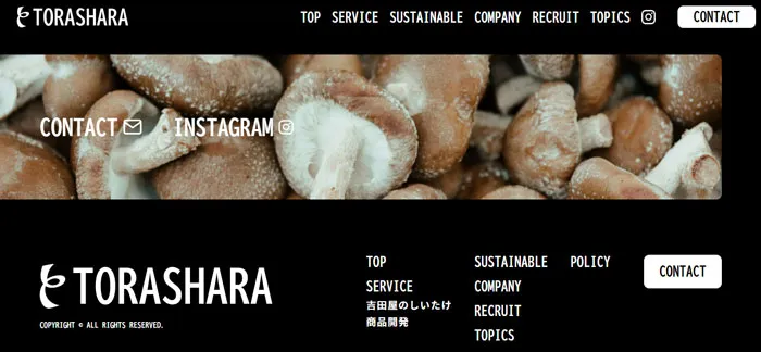 No.030 トラしゃら ノアールの雷カギしっぽ | Webサイト100線