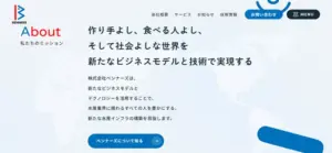 No.024 株式会社ベンナーズ　ノアールの雷カギしっぽ | Webサイト100線