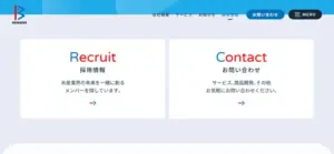 No.024 株式会社ベンナーズ　ノアールの雷カギしっぽ | Webサイト100線