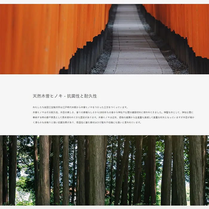 No.048 NUSA（ヌサ）　ノアールの雷カギしっぽ | Webサイト100線