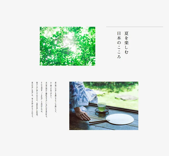 No.057 こもれびうちわ　ノアールの雷カギしっぽ | Webサイト100線