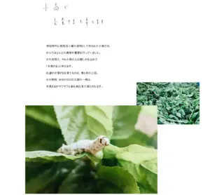 No.060 小高産絹糸　ノアールの雷カギしっぽ | Webサイト100線