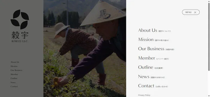 No.043 穀宇-(KOKUU-LLC.) ノアールの雷カギしっぽ | Webサイト100線