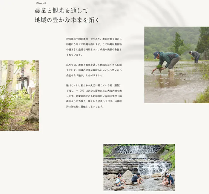 No.043 穀宇-(KOKUU-LLC.) ノアールの雷カギしっぽ | Webサイト100線