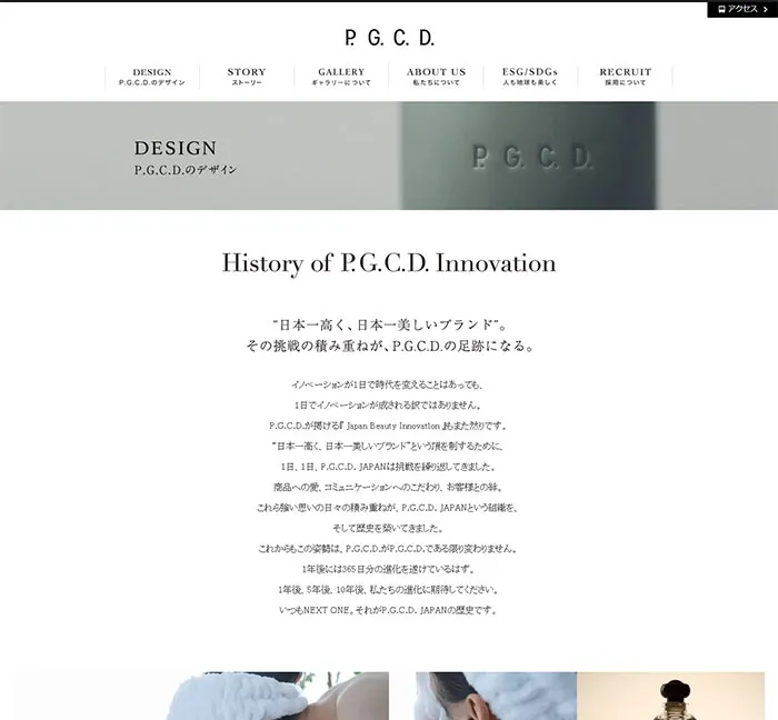 No.067 P.G.C.D.JAPAN-　ノアールの雷カギしっぽ | Webサイト100線