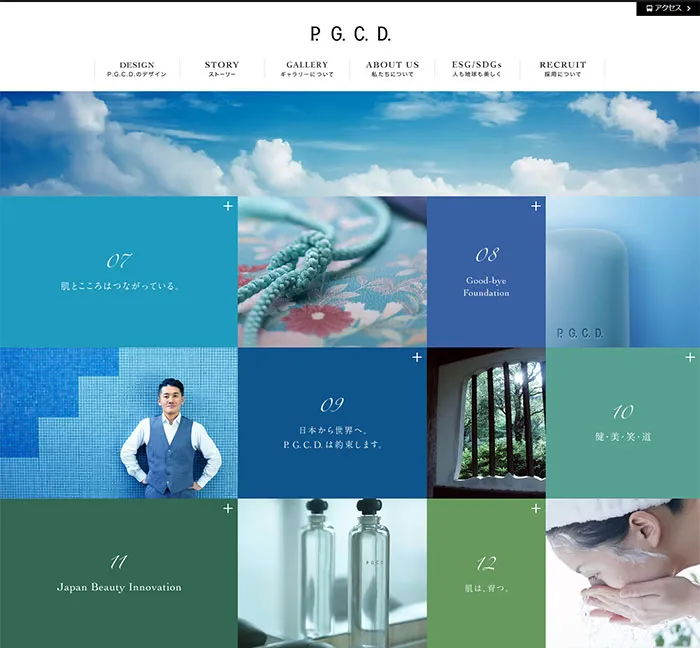 No.067 P.G.C.D.JAPAN-　ノアールの雷カギしっぽ | Webサイト100線