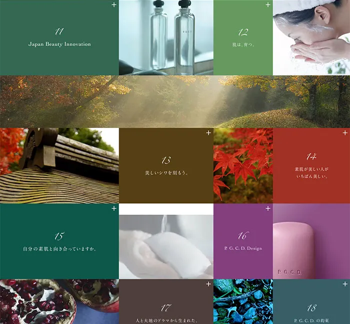 No.067 P.G.C.D.JAPAN-　ノアールの雷カギしっぽ | Webサイト100線