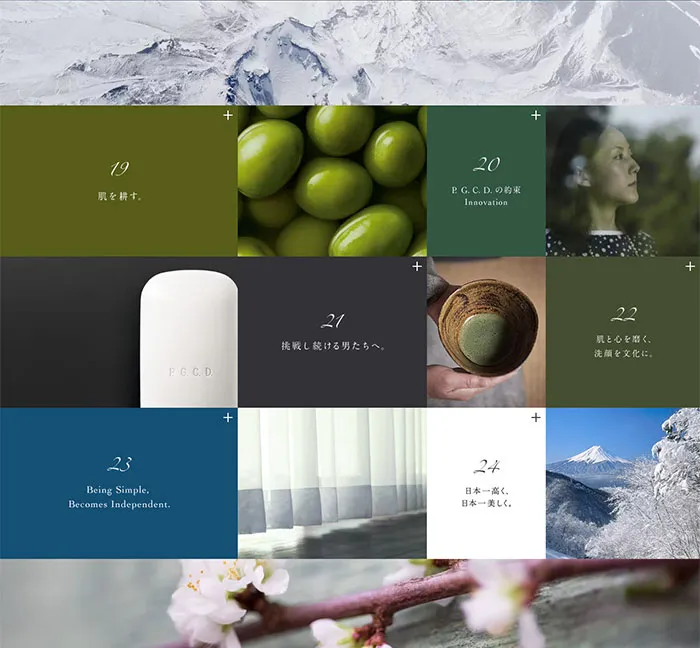 No.067 P.G.C.D.JAPAN-　ノアールの雷カギしっぽ | Webサイト100線