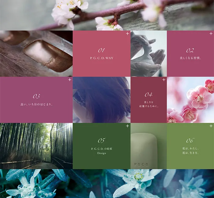 No.067 P.G.C.D.JAPAN-　ノアールの雷カギしっぽ | Webサイト100線