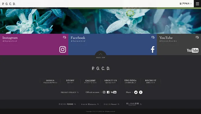 No.067 P.G.C.D.JAPAN-　ノアールの雷カギしっぽ | Webサイト100線