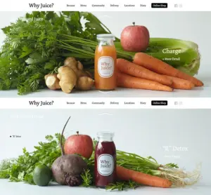 No.091 Why-Juice　ノアールの雷カギしっぽ | Webサイト100線