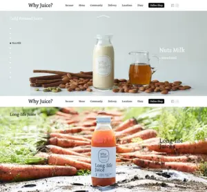 No.091 Why-Juice　ノアールの雷カギしっぽ | Webサイト100線