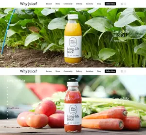 No.091 Why-Juice　ノアールの雷カギしっぽ | Webサイト100線