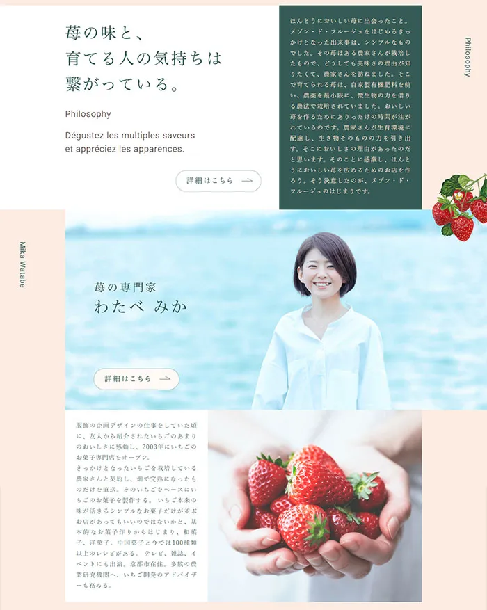 No.092 maison-de-frouge　ノアールの雷カギしっぽ | Webサイト100線