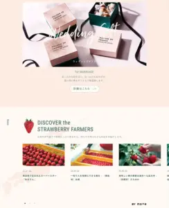 No.092 maison-de-frouge　ノアールの雷カギしっぽ | Webサイト100線