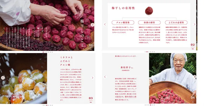 No.095 備え梅　ノアールの雷カギしっぽ | Webサイト100線