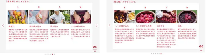 No.095 備え梅　ノアールの雷カギしっぽ | Webサイト100線