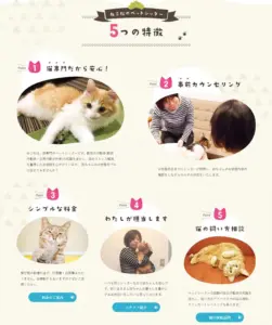 No.093 ねこ松-松戸市の猫専門ペットシッター-キャットシッター-　ノアールの雷カギしっぽ | Webサイト100線