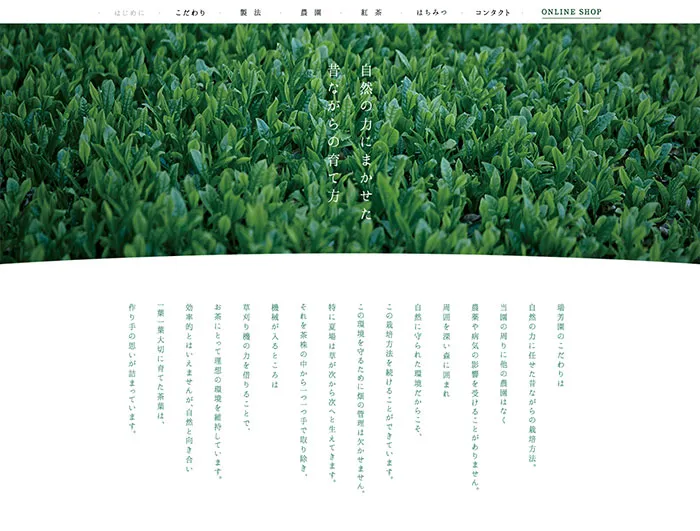 No.081 瑞芳園　ノアールの雷カギしっぽ | Webサイト100線